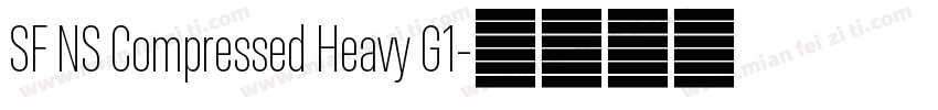 SF NS Compressed Heavy G1字体转换